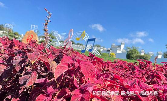 城市墓园景观的设计原则