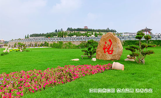 为什么选择海葬的人越来越多？