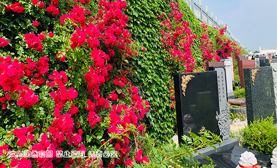 鲜花祭祀，让思念如花绽放