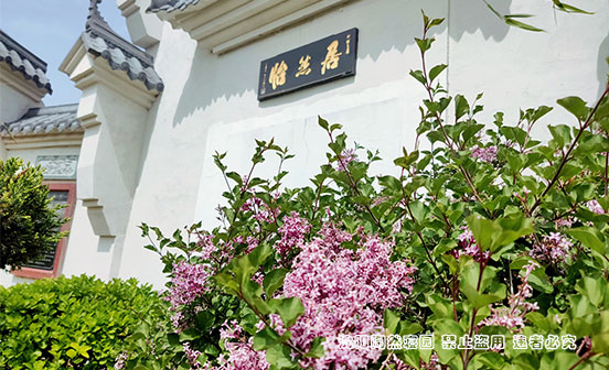 为何现代殡葬习俗简化许多