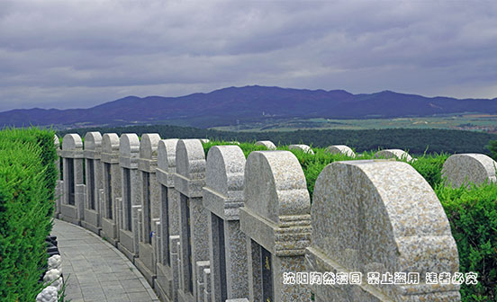 持证上岗，守护每一份托付：沈阳墓园专业化背后的温度与承诺