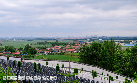 生命纪念：墓园不只是安息地