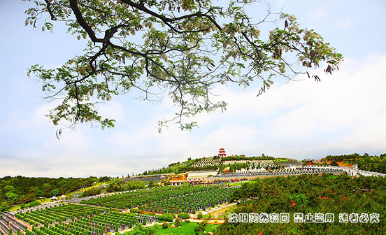 沈阳人为何偏爱这座后花园？