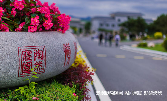 遥望沈城灯火，便是陶然