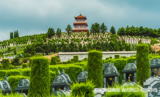 尘世归处，依然有光有温度